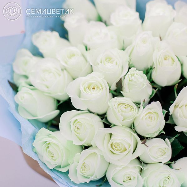 35 белых роз (Кения) 40 см Premium