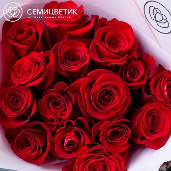 Букет из 15 красных роз Freedom 40 см (Эквадор) в розовой пленке