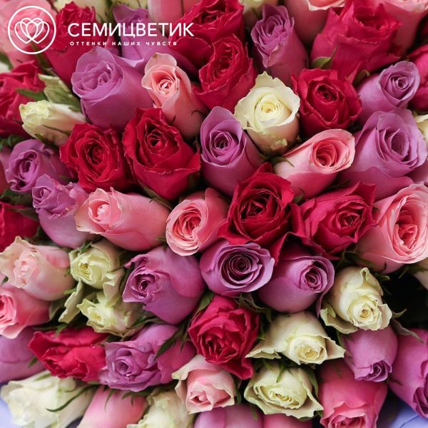 Букет из 101 розы 35 см микс (Кения)