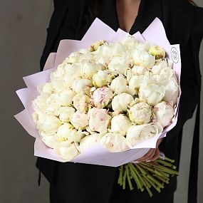 Букет из 51 белого пиона Kelway`s Glorious Premium