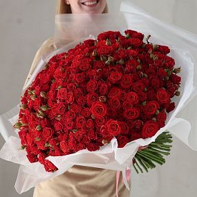 Букет из 101 красной кустовой розы 40-50 см (Россия) в прозрачной упаковке