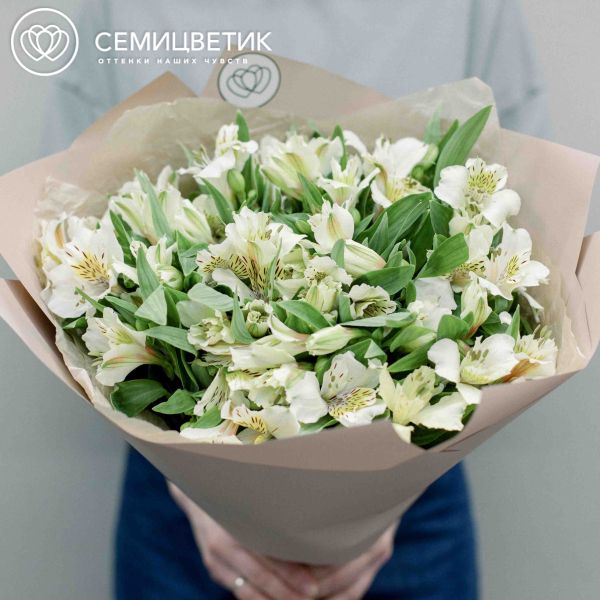 Букет из 23 кремовых альстромерий