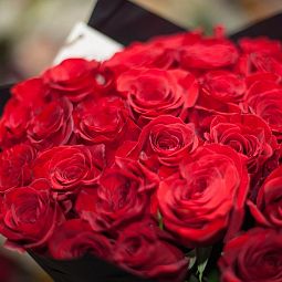 Букет из 21 красной розы Freedom 50 см (Эквадор)