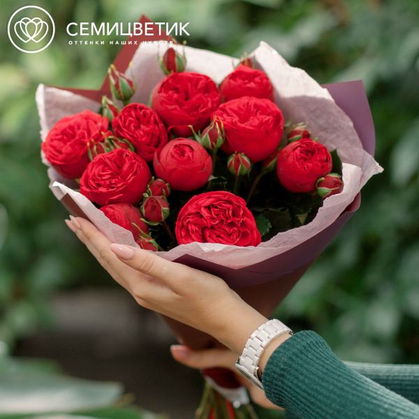 Букет из 9 красных кустовых пионовидных роз Red Piano 40 см