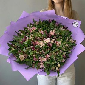 Букет из 101 фиолетовой и розовой альстромерии
