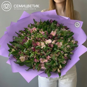 Букет из 101 фиолетовой и розовой альстромерии