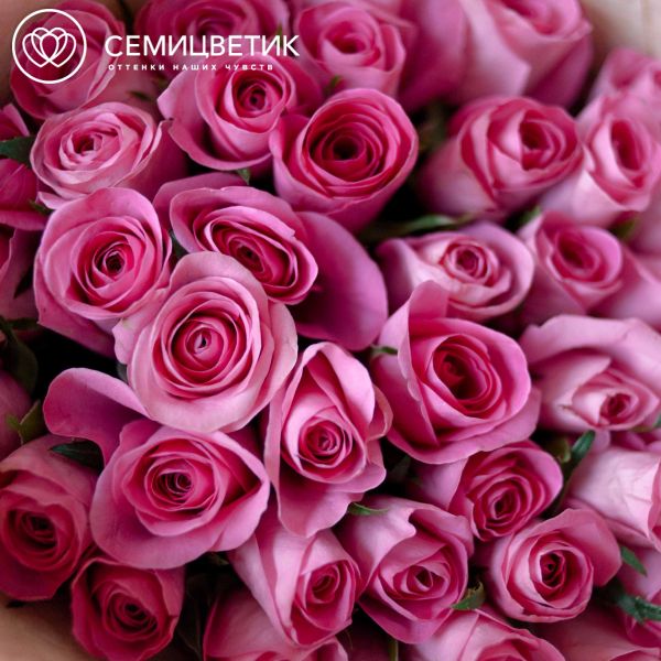 Букет из 41 розовой розы 40 см (Кения)