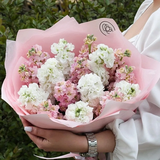 Время дарить чувства!