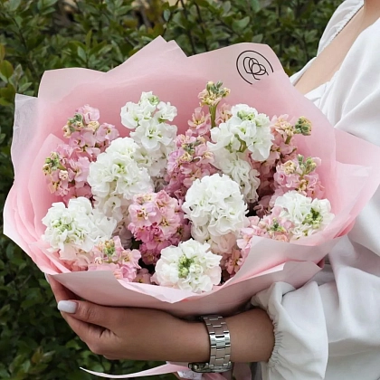 Время дарить чувства!