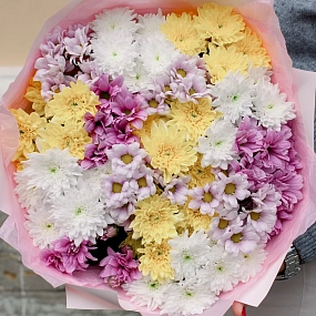 Букет из 15 кустовых хризантем микс в розовой пленке