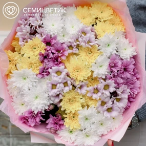 Букет из 15 кустовых хризантем микс в розовой пленке