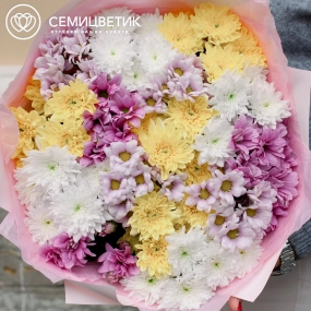 Букет из 15 кустовых хризантем микс в розовой пленке