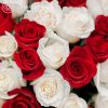 Букет из 25 белых и красных роз (Эквадор) 50 см в розовой пленке