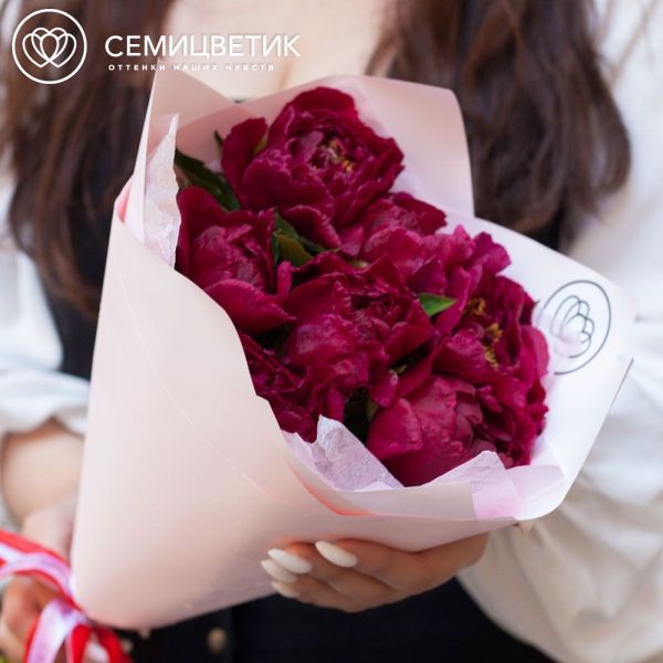 Букет из 7 бордовых пионов Standart Plus в сиреневой пленке