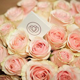 Роза (Эквадор) Pink Mondial 50 см Нежно-розовая поштучно