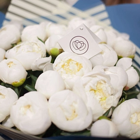 Букет из 25 белых пионов Standart в голубой пленке