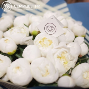 Букет из 25 белых пионов Standart в голубой пленке