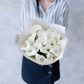 Букет из 15 белых калл