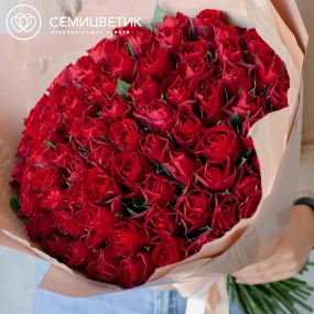 Букет из 75 красных роз 40 см (Кения) в кремовой пленке
