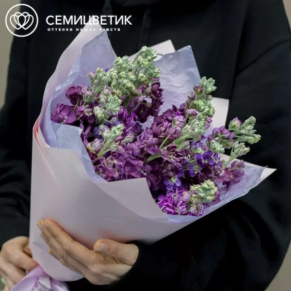 Букет из 11 махровых маттиол микс в сиреневой пленке