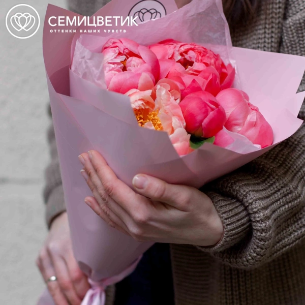 Букет из 5 коралловых пионов Coral Sunset Premium в розовой пленке