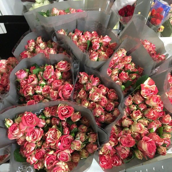 Кустовая роза микс