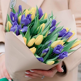 Букет из 15 синих ирисов и 20 желтых тюльпанов 40 см в кремовой пленке