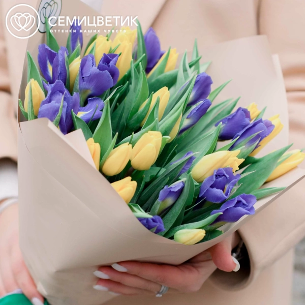 Букет из 15 синих ирисов и 20 желтых тюльпанов 40 см в кремовой пленке