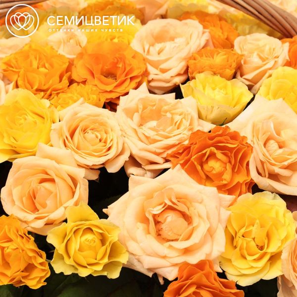 Композиция из 101 оранжевой, желтой и кремовой розы (Россия) в корзине