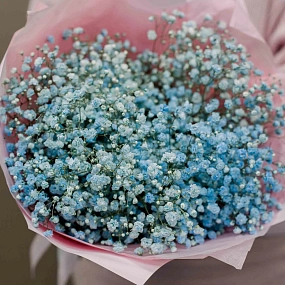 Букет из 7 голубых гипсофил в голубой пленке