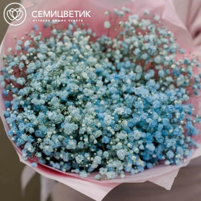 Букет из 7 голубых гипсофил в голубой пленке