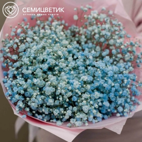 Букет из 7 голубых гипсофил в голубой пленке