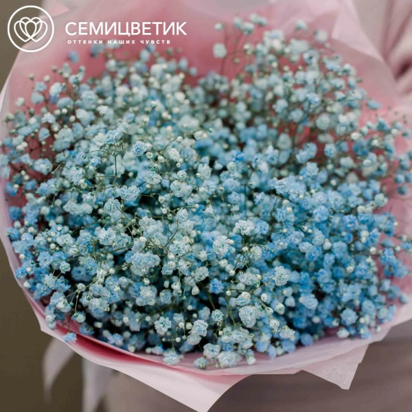 Букет из 7 голубых гипсофил в голубой пленке