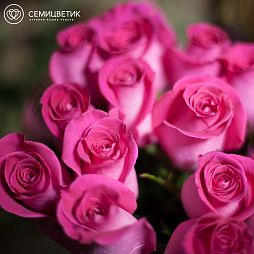 Букет из 7 розовых роз Topaz 50 см (Эквадор)