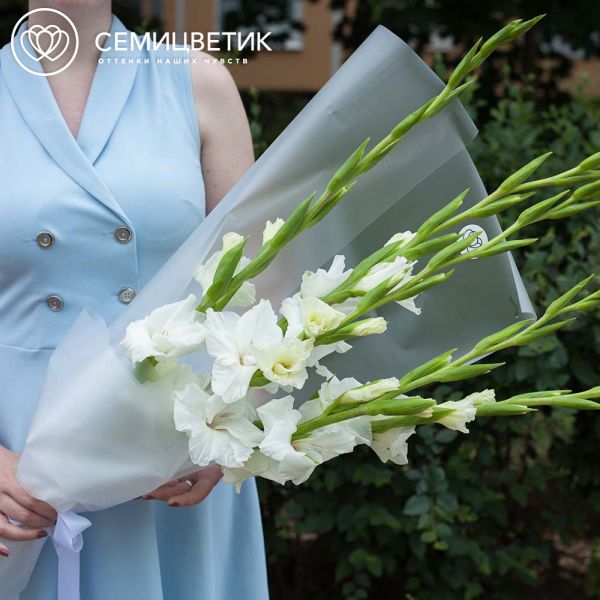 Букет из 5 белых гладиолусов в прозрачной пленке