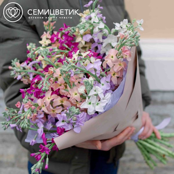 Букет из 25 маттиол микс