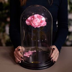 Розовая роза в колбе 33 см