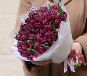 Букет из 51 фиолетового пионовидного тюльпана в прозрачной упаковке