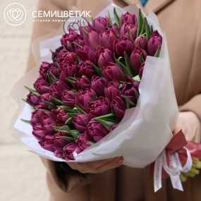 Букет из 51 фиолетового пионовидного тюльпана в прозрачной упаковке