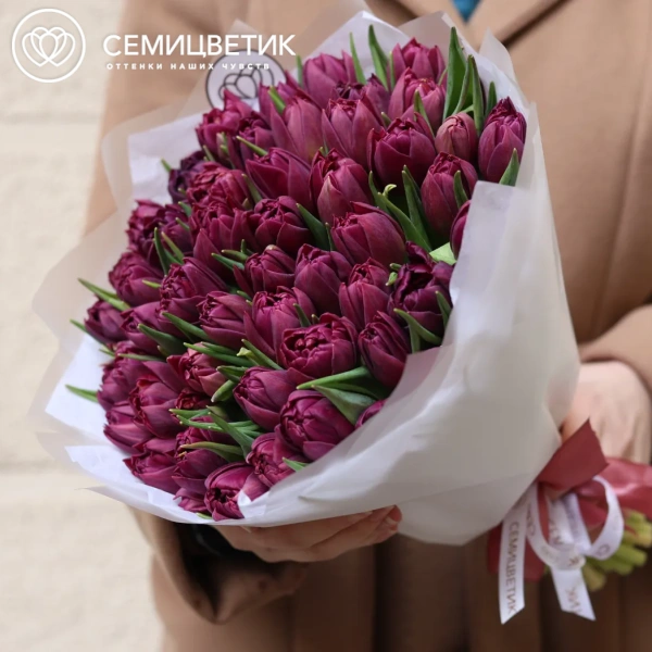 Букет из 51 фиолетового пионовидного тюльпана в прозрачной упаковке