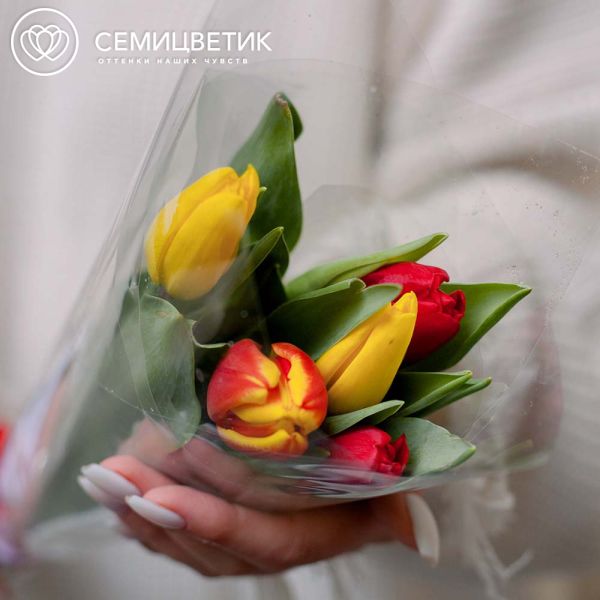 Букет из 5 тюльпанов микс 40 см в пленке