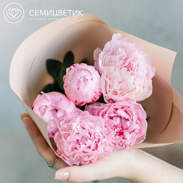 Букет из 5 розовых пионов Standart