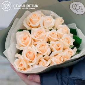 Букет из 15 кремовых роз Пич Аваланш 35-40 см (Россия) в зеленой пленке