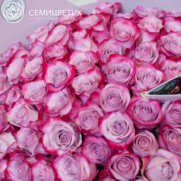 Букет из 101 сиреневой с фиолетовой каймой розы Deep Purple 50 см (Эквадор) 