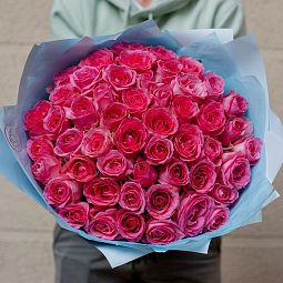 Букет из 51 розовой розы 50 см (Россия) в голубой пленке
