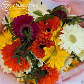 Букет из 25 гербер с фисташкой в розовой пленке