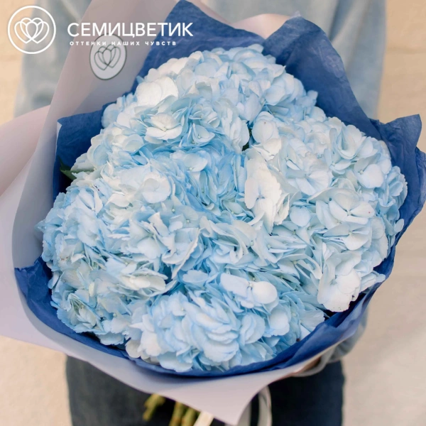 Букет из 5 голубых гортензий в белой пленке