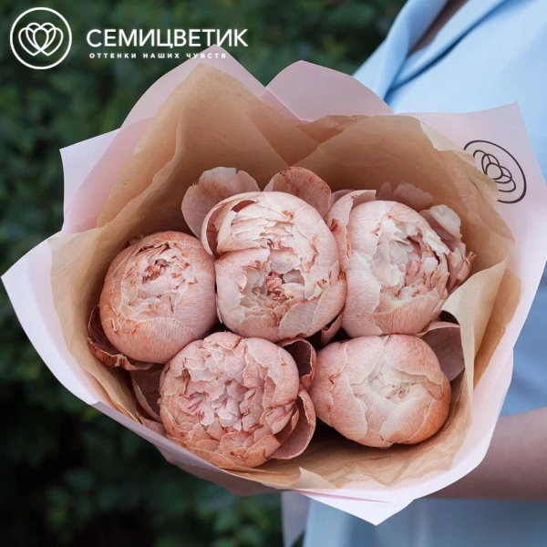 Букет из 5 пионов брауни Premium
