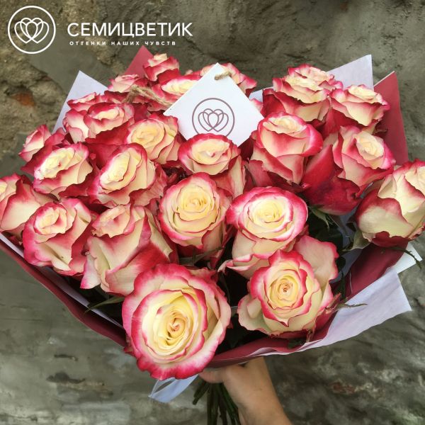 Букет из 25 белых с красной каймой роз Sweetnes 50 см (Эквадор)