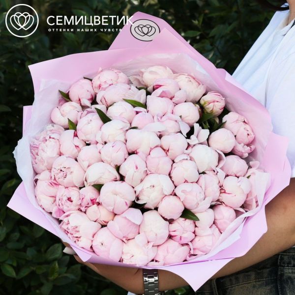 Букет из 51 розового пиона Standart